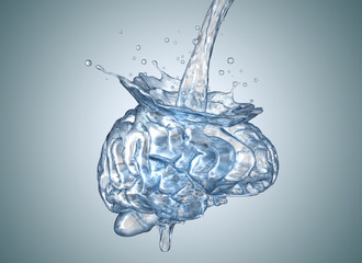The brain is filled with water - 210969472