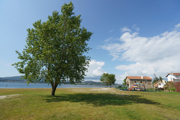 Obraz premium Green park at sunny day