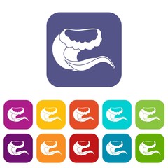 Curling and cracking wave icons set vector illustration in flat style in colors red, blue, green, and other