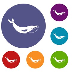 Whale icons set in flat circle red, blue and green color for web