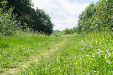 Walking or hiking route through a country park