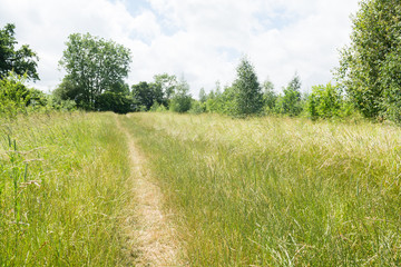 Walking or hiking route through a country park