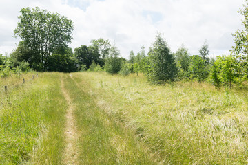 Walking or hiking route through a country park