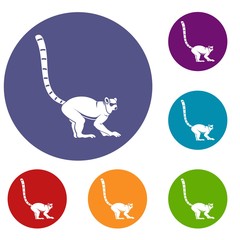 Lemur monkey icons set in flat circle red, blue and green color for web