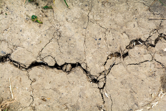 Dry earth, dried out cracked soil from hot temperature change