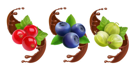 Blueberry, gooseberry and red currant in chocolate splash reaistic set