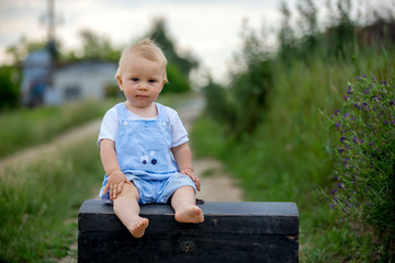 Cute toddler boy, sitting on vintage suitcase, playing with teddy bear on rural path