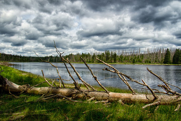 Oderteich Harz 2