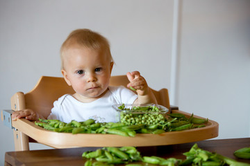 Toddler child, cute boy in white shirt, eating pea at home.