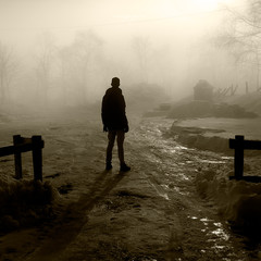 The mist