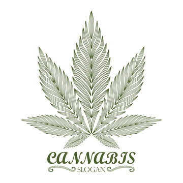 cannabis green leaf logo.
