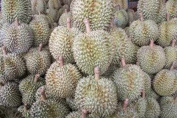 Durain the king of fruits in thailand market.