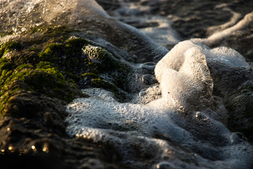 A small rock with moss