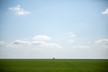 Photo of green lawn and cloudy blue sky