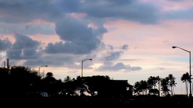 Time Lapse of Moody Sky and Palm Tree Silhouettes