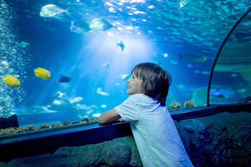 Little boy, kid watching the shoal of fish swimming in oceanarium, children enjoying underwater life © Tomsickova