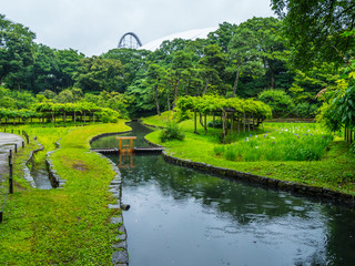 Fototapeta na wymiar Japanese Garden in Korakuen Tokyo