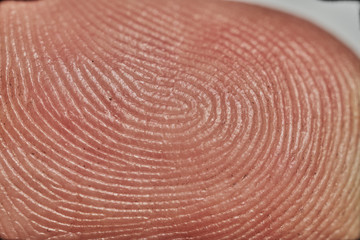 close up macro image of a human finger.