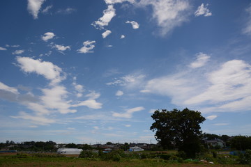 Fototapeta na wymiar Rural landscape and white cloud
