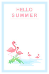 Hello summer background with pink flamingos