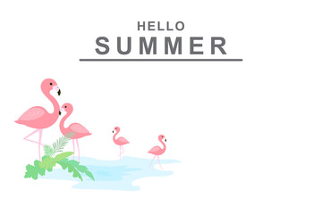 Hello summer background with pink flamingos