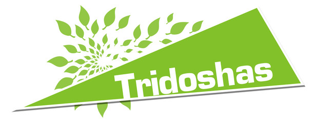 Tridoshas Green Leaves Circular Triangle Horizontal 