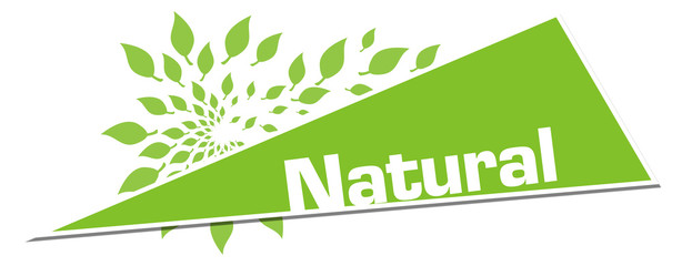 Natural Green Leaves Circular Triangle Horizontal 