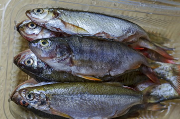 View of  freeze raw small fish in the bowl after cleaning, Sofia, Bulgaria  