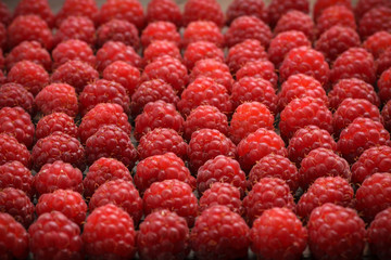A group of red raspberries in the same position lined up in rows.