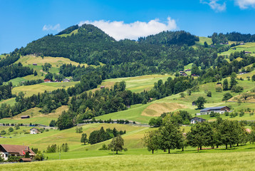 A summertime view in the Swiss canton of Schwyz