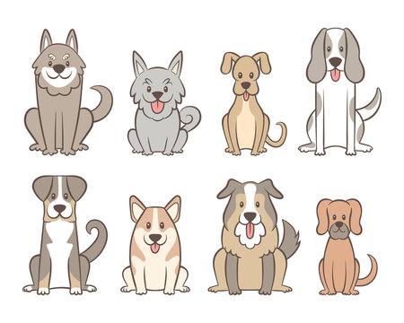 Collection of different kinds of dogs isolated on white background. Hand drawn dogs sitting in front view position. Vector illustration.