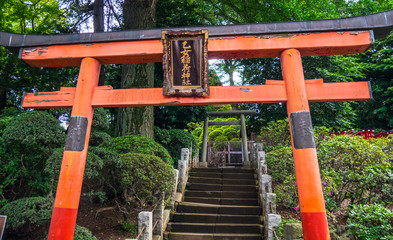 Nezu Jinja Shrine - the famous Shinto Shrine in Tokyo Bunkyo