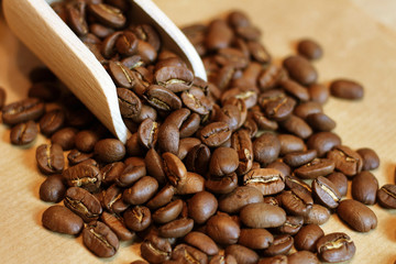 warm mood of coffee beans
