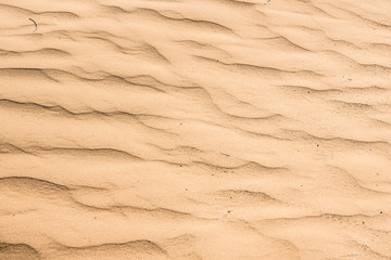 Fototapeta na wymiar Sand texture close