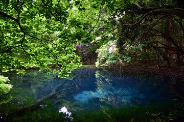 青が美しい神秘の丸池様