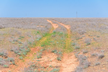 Semi-desert road on sunny day