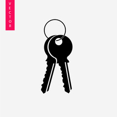 Keys bundle icon