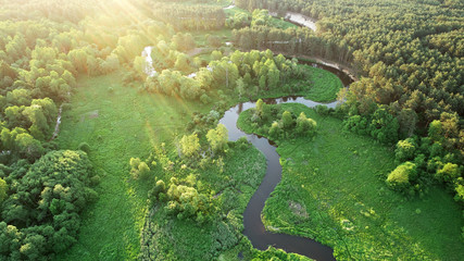 Vue aérienne du drone-rivière dans la forêt