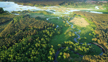 Aerial view from drone- river in the forest