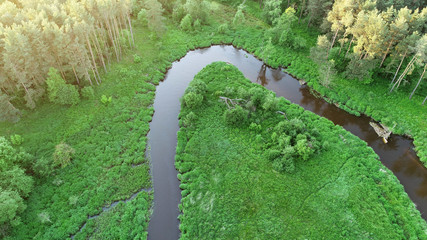 Aerial view from drone- river in the forest