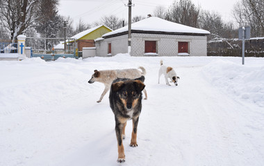 Tschernobyl im Winter 2018 © Antje