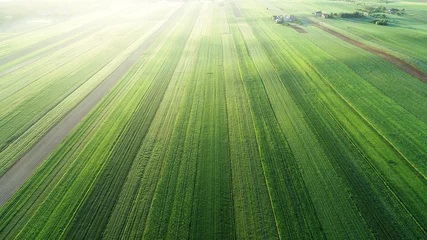  Aerial landscape - spring fields © Piotr Krzeslak