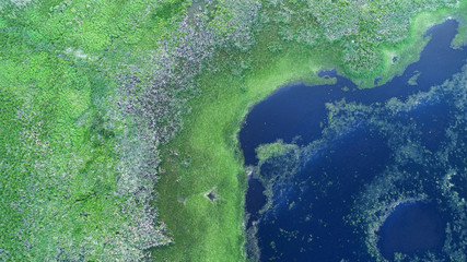 Aerial landscape - lake shoreline