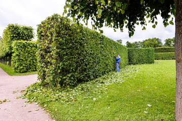 Man is cutting trees in the park. Professional gardener in a uniform cuts bushes with clippers. Pruning garden, hedge. Worker trimming and landscaping green bushes. Hard work in the garden. Clipper.