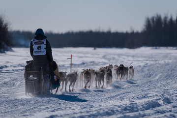 musher