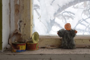 Tschernobyl im Winter 2018