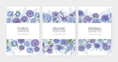 Collection of floral card or flyer templates for herbal cosmetics and natural organic perfume advertisement decorated by blooming blue and purple flowers and flowering plants. Vector illustration.