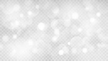 Deurstickers Abstract transparent light background with bokeh effects in gray colors. Transparency only in vector format © Olga Moonlight