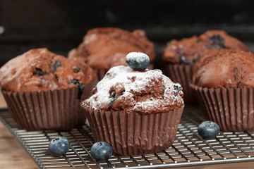Home Baked Blueberry Chocolate Muffins.
