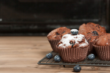 Home Baked Blueberry Chocolate Muffins.